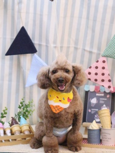 202500501くぅくん